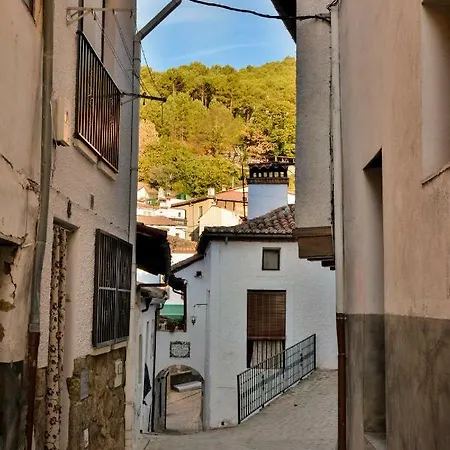 El Rincon De Elsa Vut Av296 *