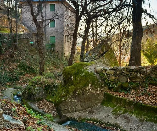 El Rincon De Elsa Vut Av296